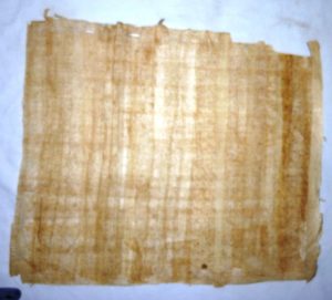 BLANK PAPYRUS2